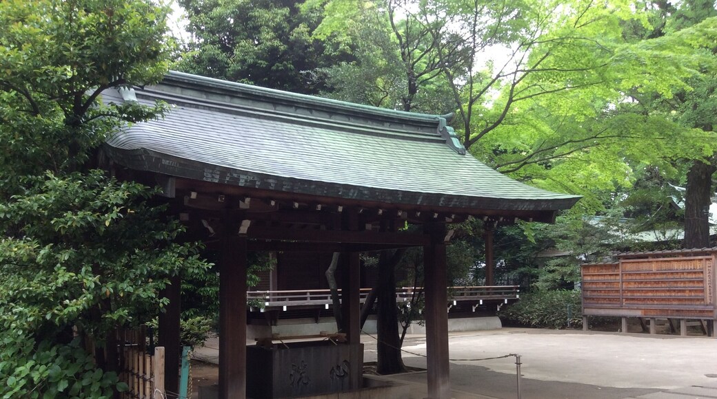 (2015年5月9日撮影)