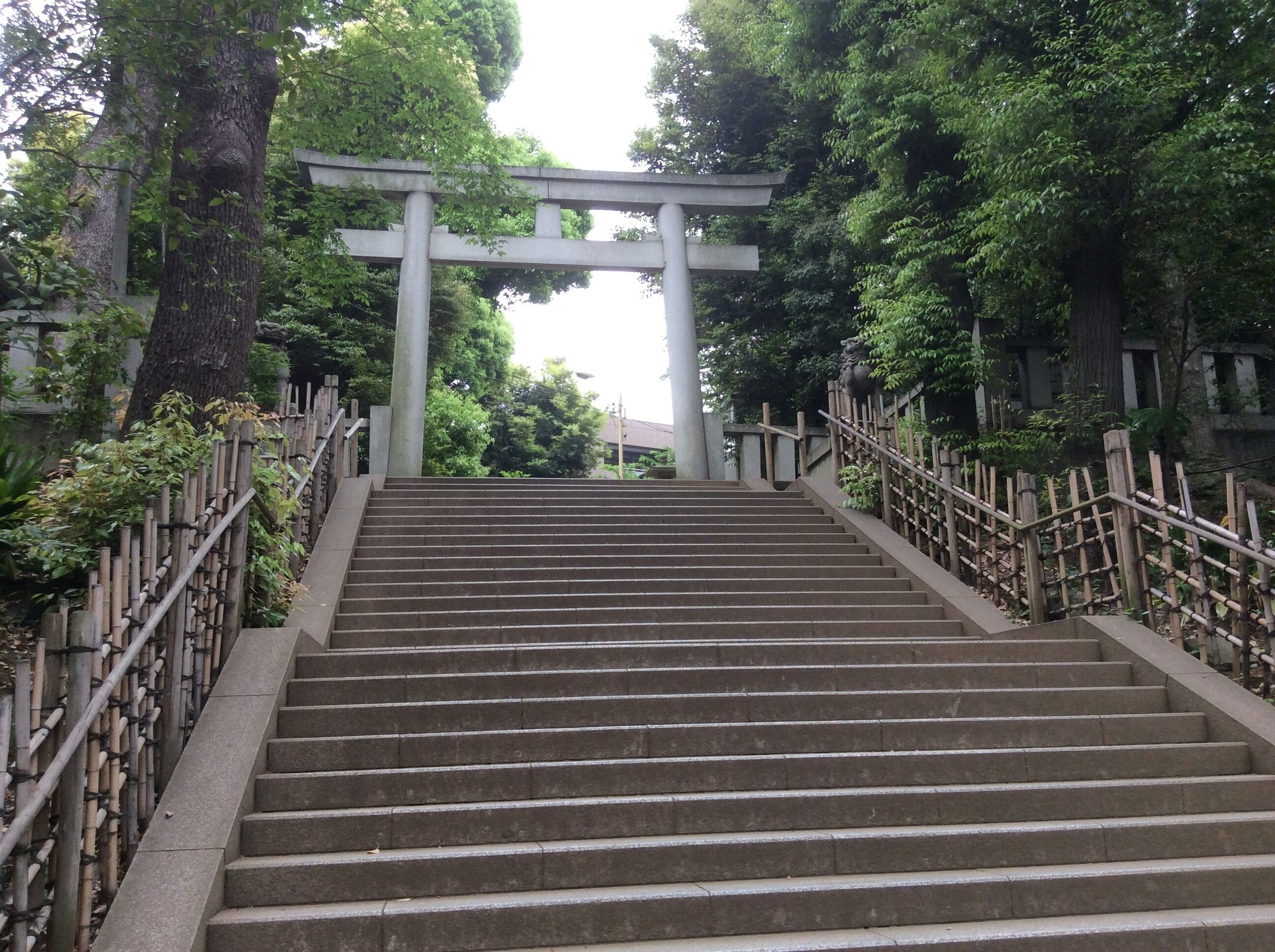 （2015年5月9日撮影）