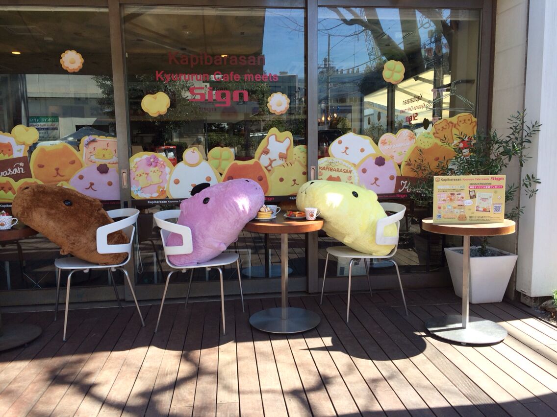 Limited kapibara cafe