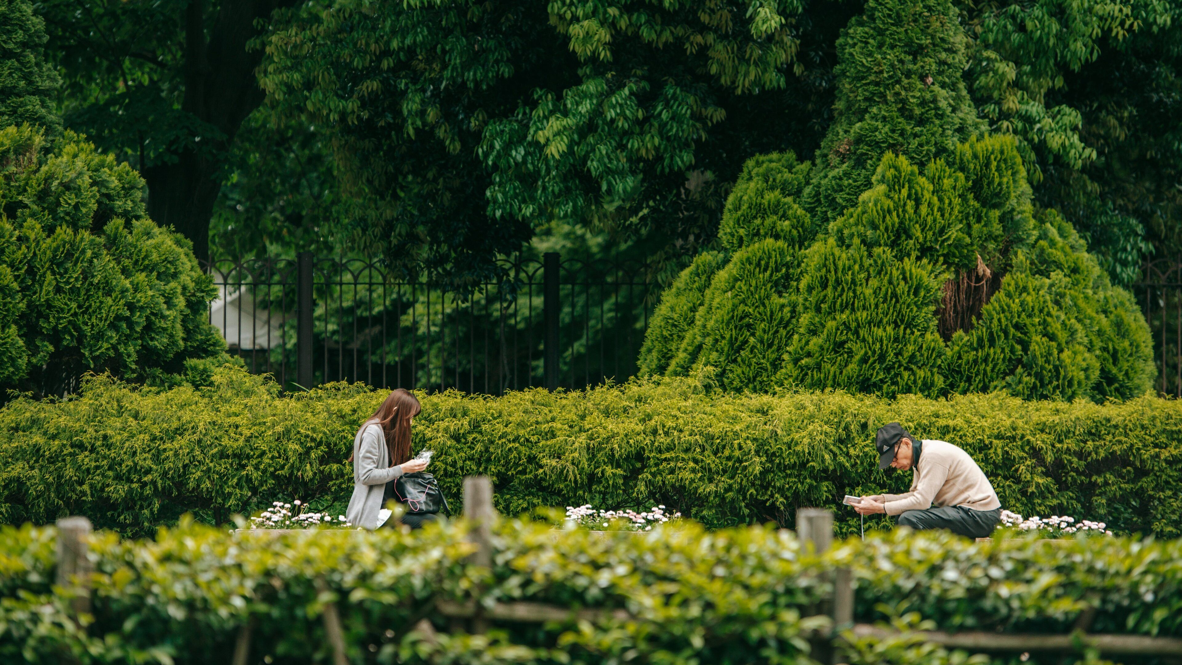 Shinjuku featuring a park as well as a couple