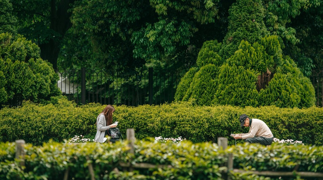 Shinjuku featuring a park as well as a couple