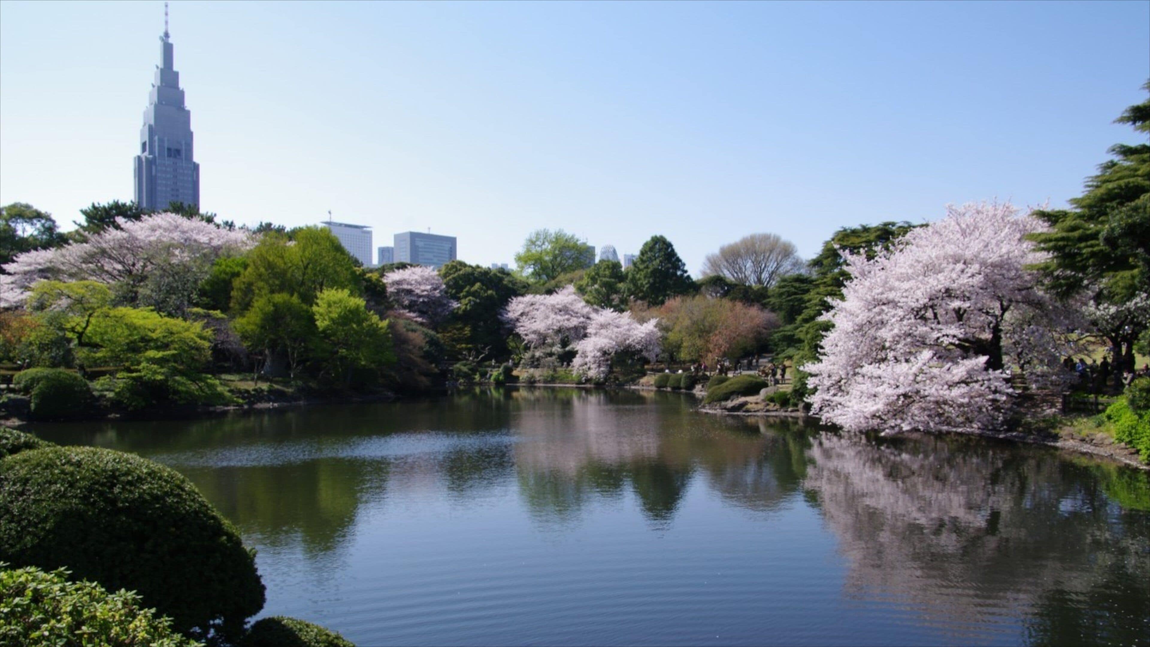Shinjuku featuring a park and a lake or waterhole