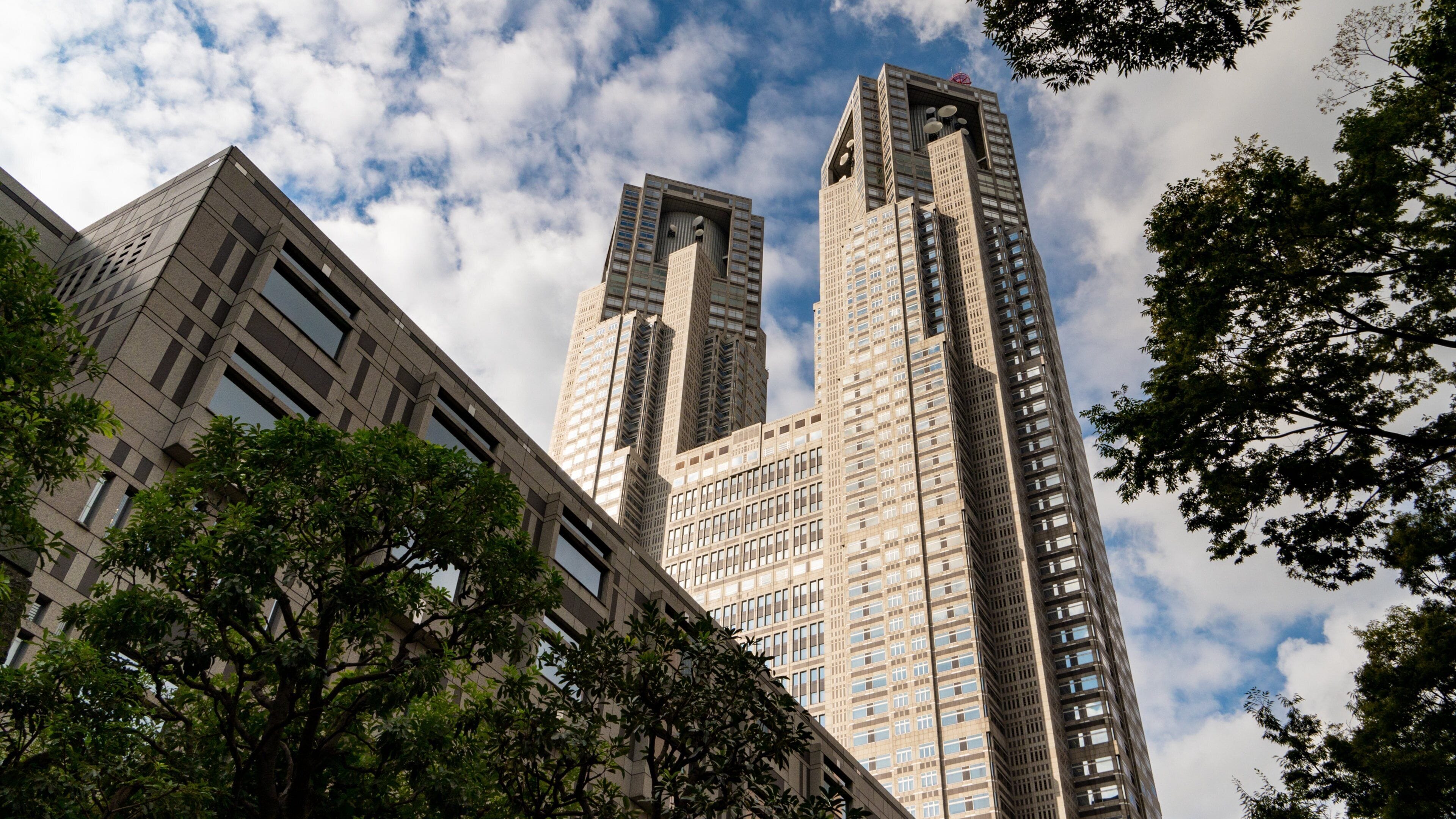 Tokyo Metropolitan Government Building which includes a high rise building