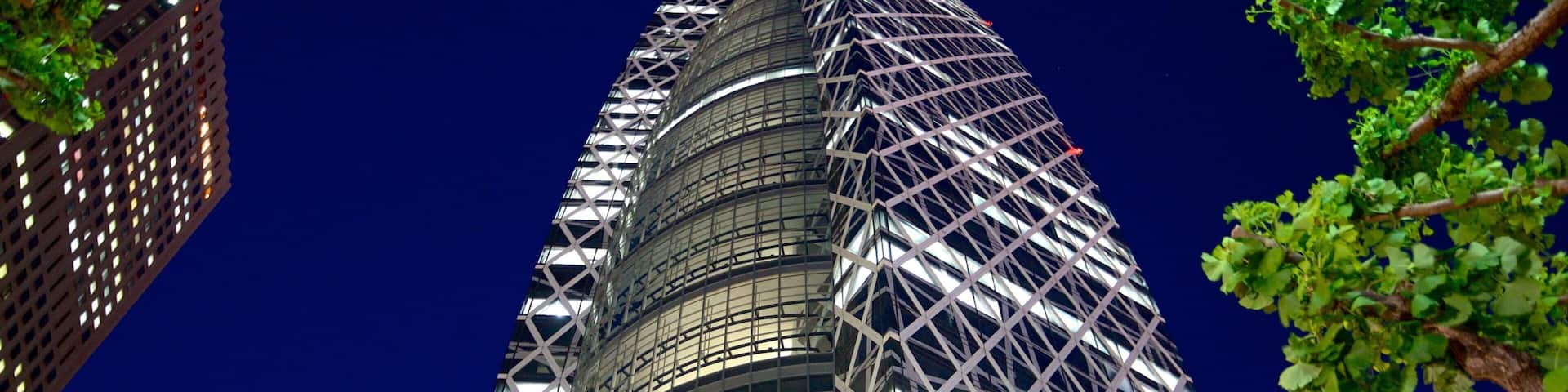 Shinjuku das einen Stadt, Stadtansicht und bei Nacht