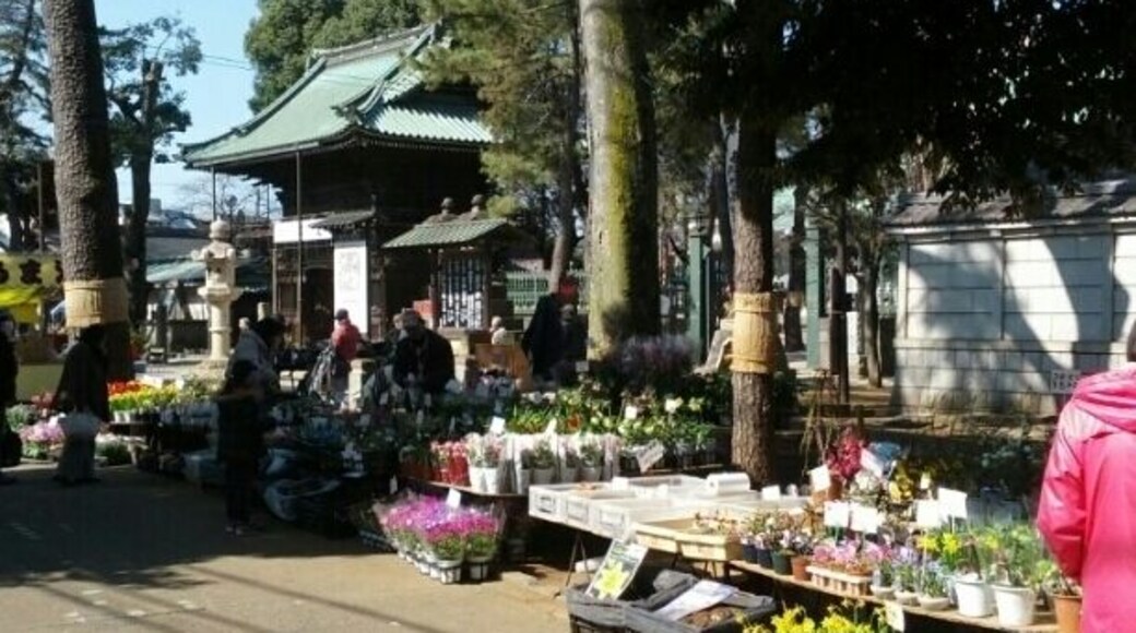 3,13,23 in everymonth some shops are open by street. We call this fair En-nichi(??).