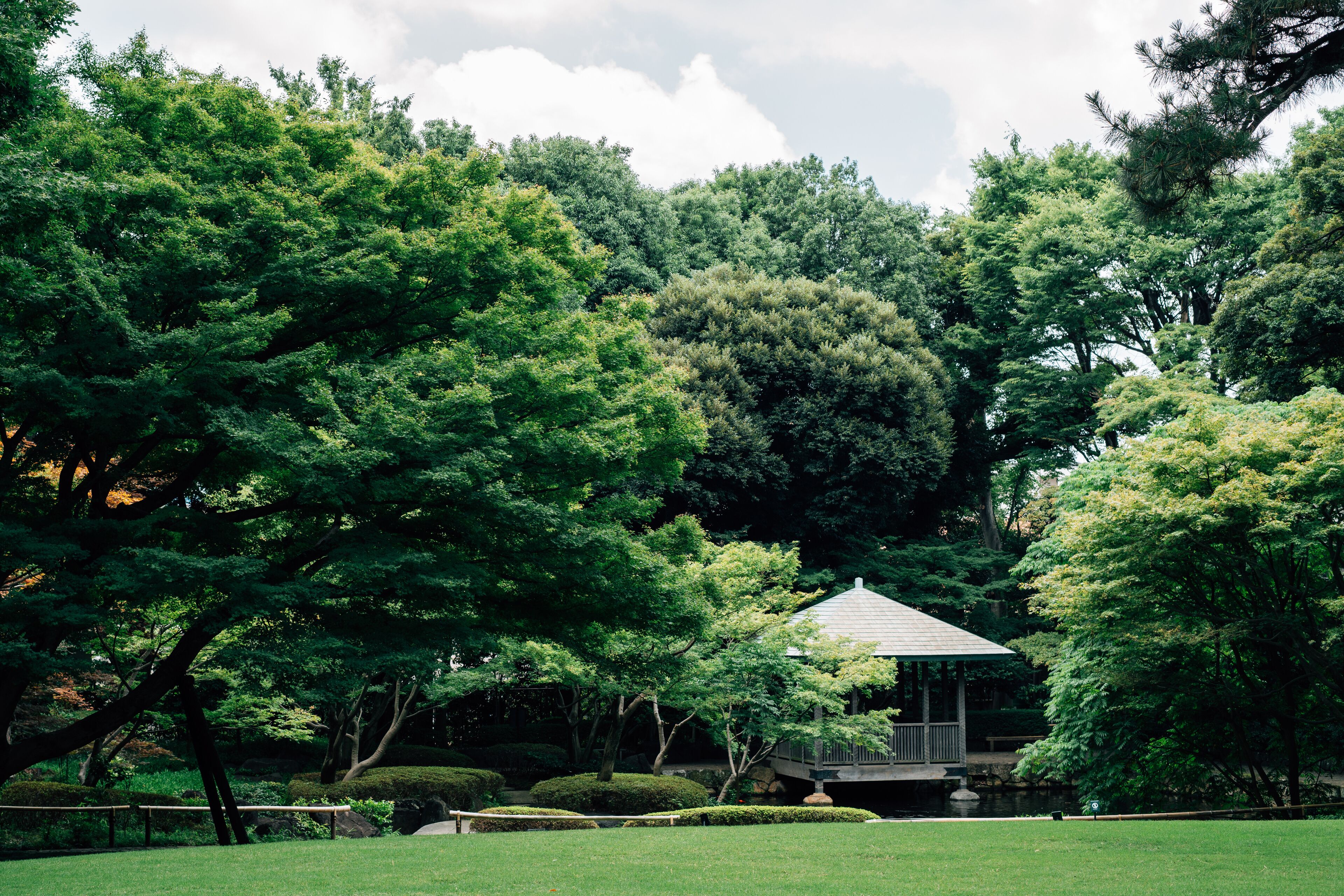 Summer of Otaguro Park in Tokyo, Japan