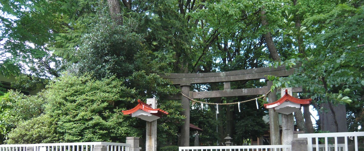 A traditional Japanese torii gate with a wooden structure and red roof, leading to a stone staircase.