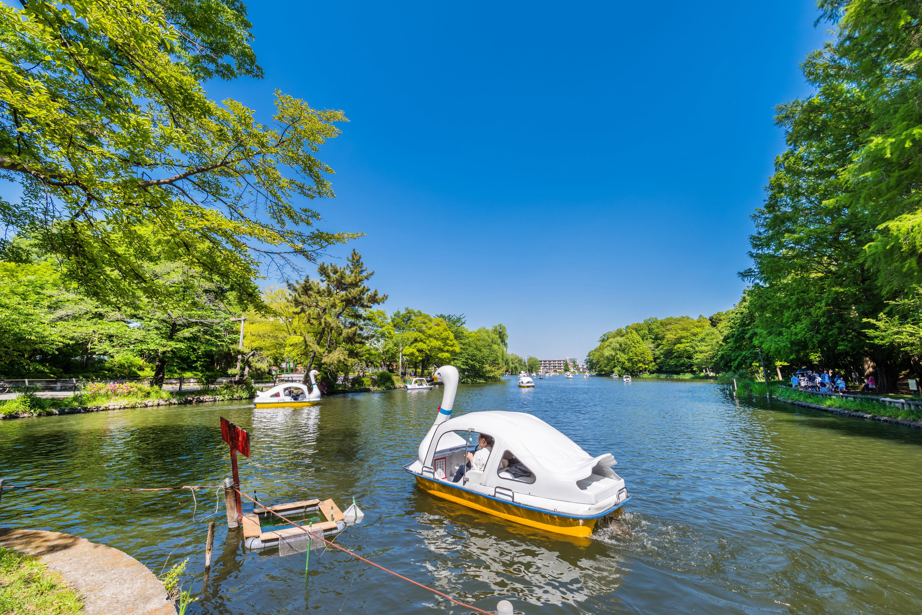 A river with boats, including a swan-shaped boat, surrounded by lush green trees and a clear blue sky.