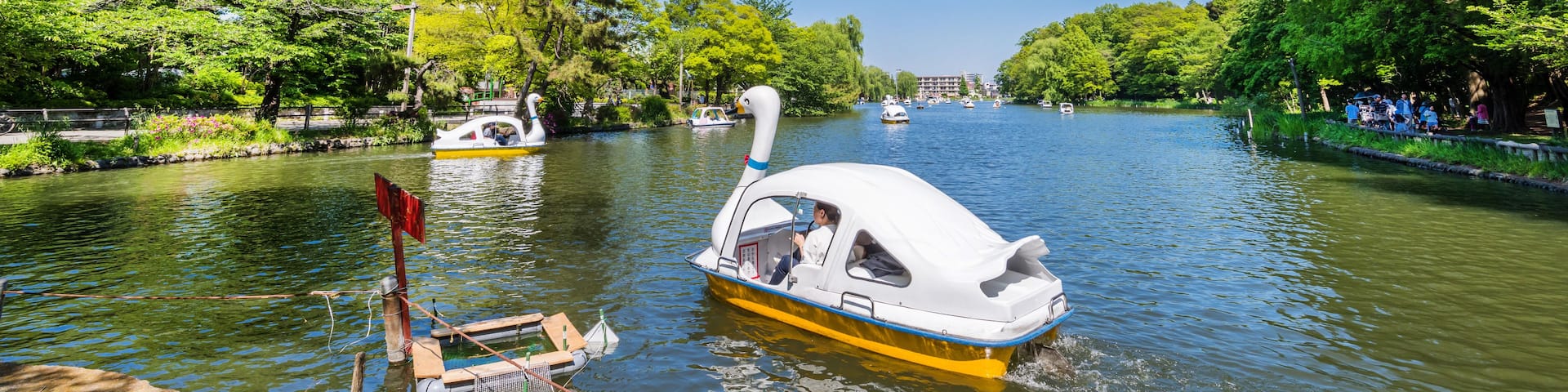 A river with boats, including a swan-shaped boat, surrounded by lush green trees and a clear blue sky.