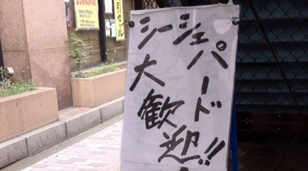 リキの入った、ちょっと過激な看板ですが、何か?