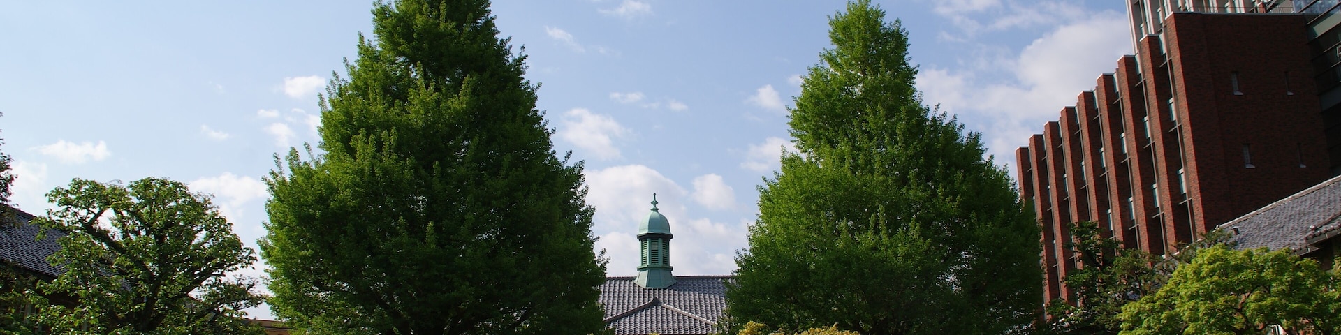 Rikkyo University/Saint Paul's University