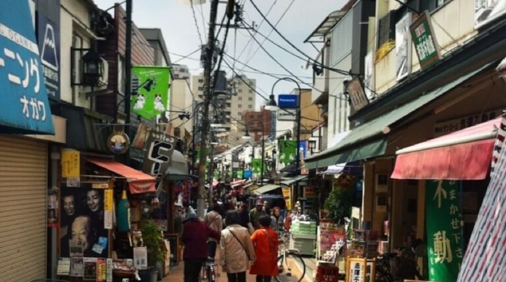 Yanaka Ginza #UrbanJungle #TroveonTuesday