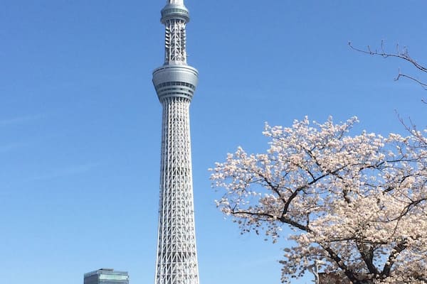 Ein hoher Turm mit spiralförmigem Design, umgeben von Kirschblüten und modernen Gebäuden.