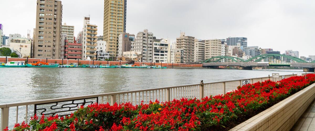 Sumida which includes a garden, flowers and a river or creek