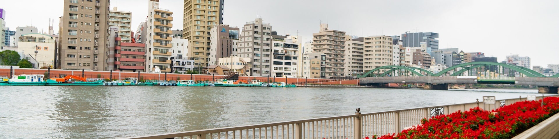 Sumida which includes a garden, flowers and a river or creek