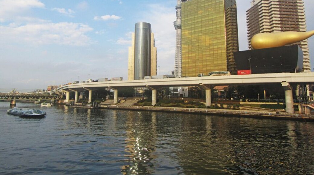 A view of the Sumida skyline, including the Asahi flame - also referred to by locals as the 'poop building'.