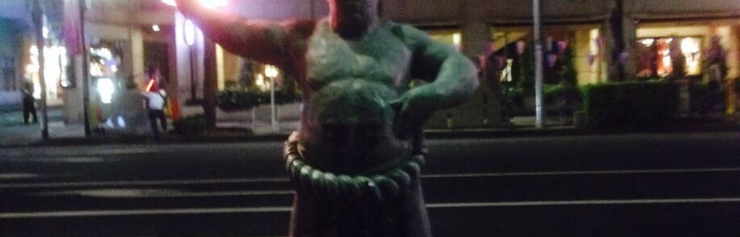 Ryogoku is famous for the hometown of Sumo, which is a Japanese traditional sports. If you come to Ryogoku, you might run into Sumo wrestlers‼︎