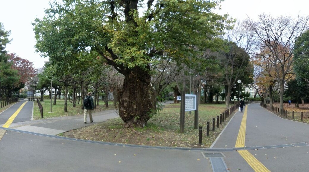 南砂町3丁目公園