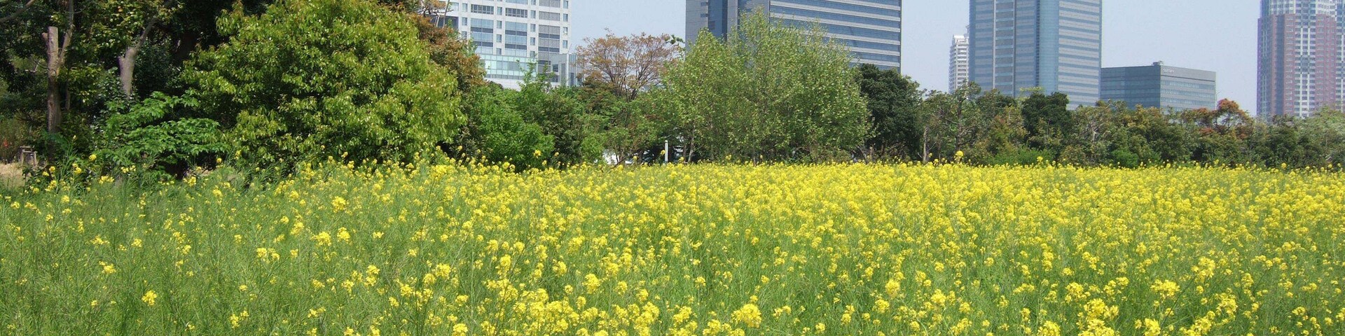 2006年、船の科学館駅近辺より