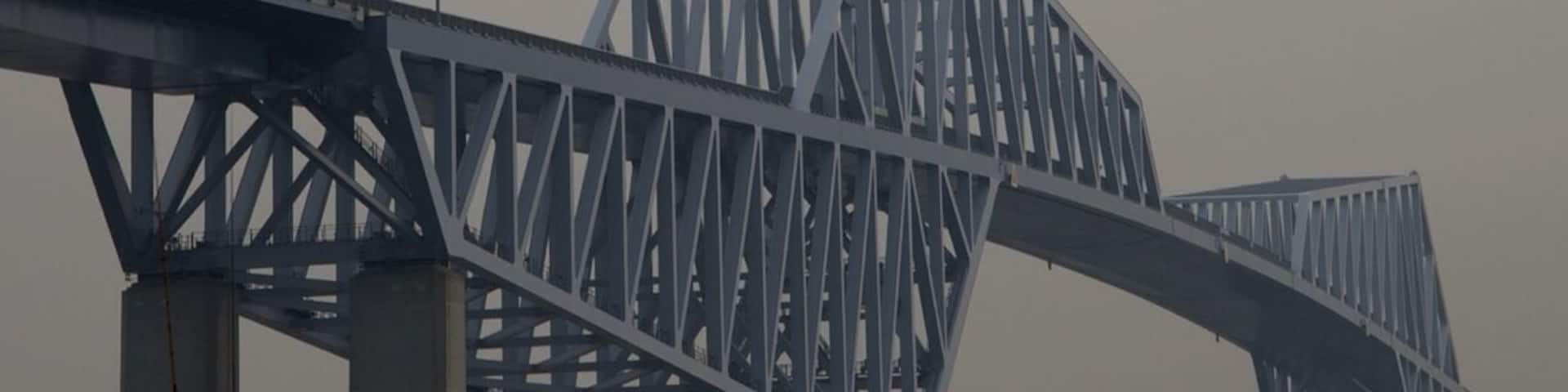 Tokyo Gate Bridge looks like two facing dinosaurs connect Wakasu and an artificial island without any sign of living. In feature, there will be a huge park. Because the bridge is close to the Haneda Airport, that height was regulated. On the other hand, this is in the middle of Tokyo bay that a lot of large ships are here, too.