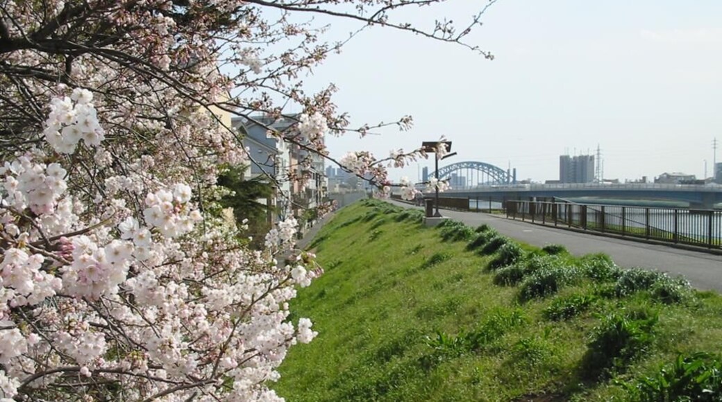 East bank of Shin-Naka River in Haruechō 3-chōme, Edogawa, Tokyo, looking south. --->See the map.