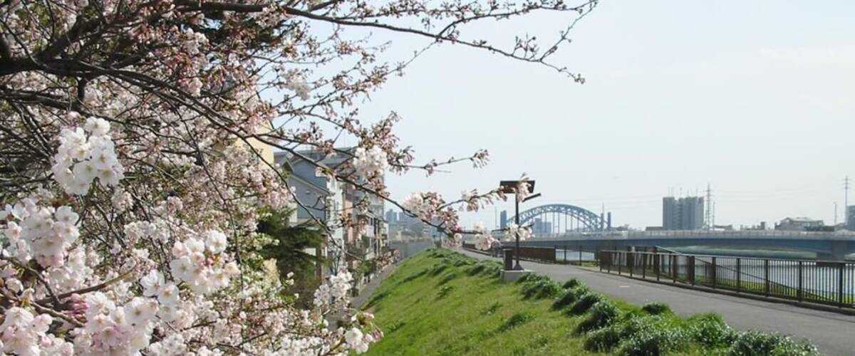 East bank of Shin-Naka River in Haruechō 3-chōme, Edogawa, Tokyo, looking south. --->See the map.