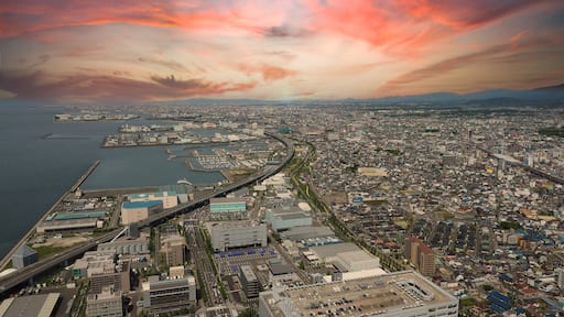 أيزوميوتسو