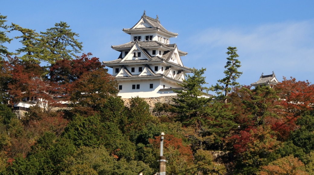Gujohachiman Castle in Gujō, Gifu Prefectue, Japan.