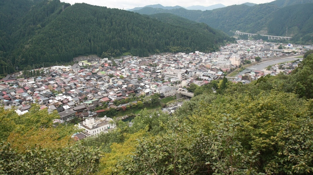 郡上八幡城から見た町並み (岐阜県郡上市八幡町)