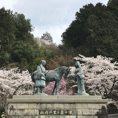 郡上八幡城