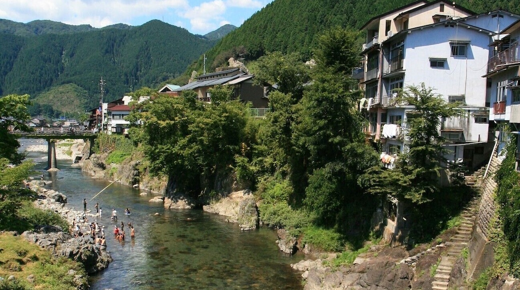吉田川 (岐阜県郡上市八幡町)