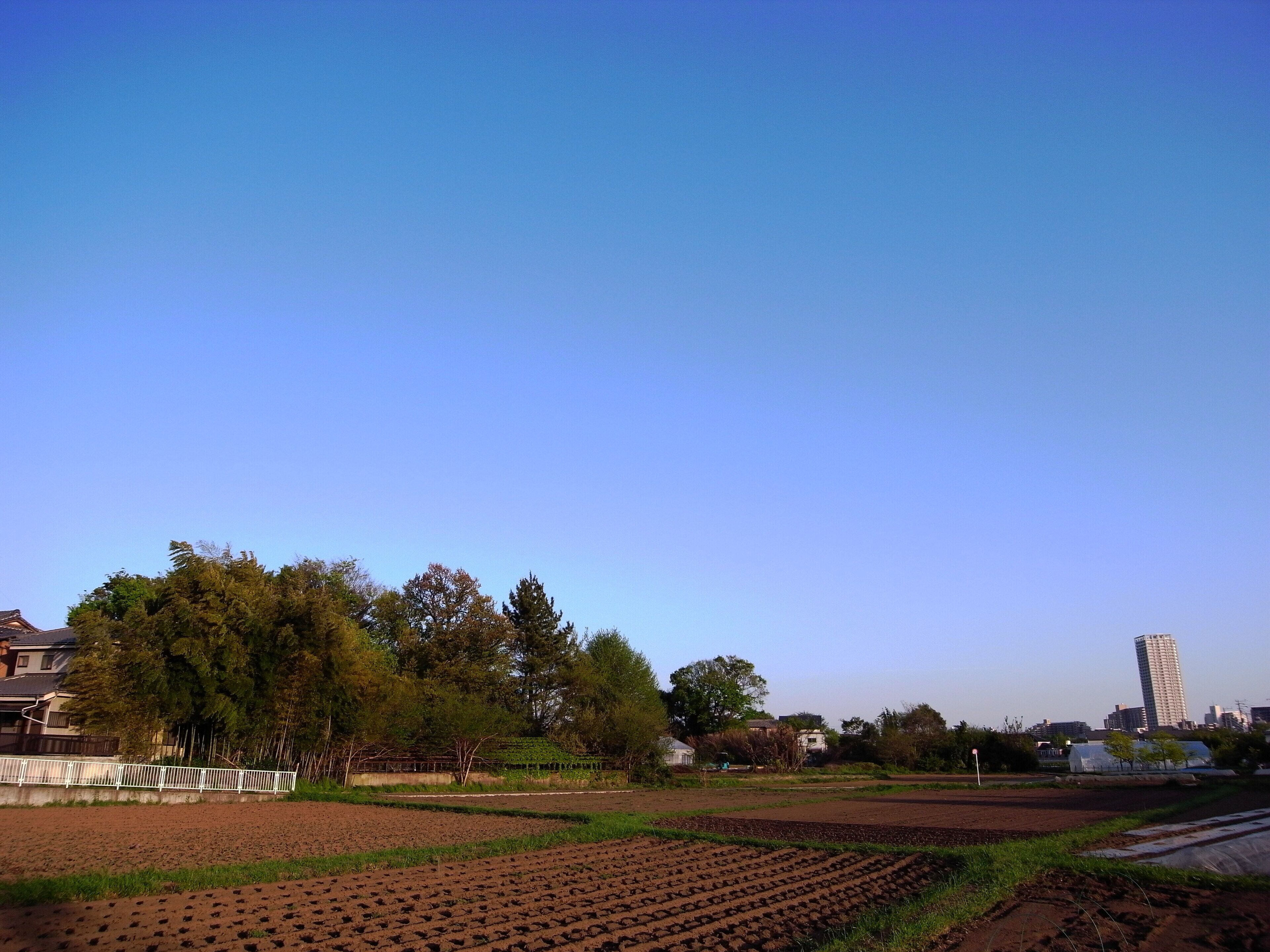 4 Chome Sazumachi, Chōfu-shi, Tōkyō-to 182-0016, Japan