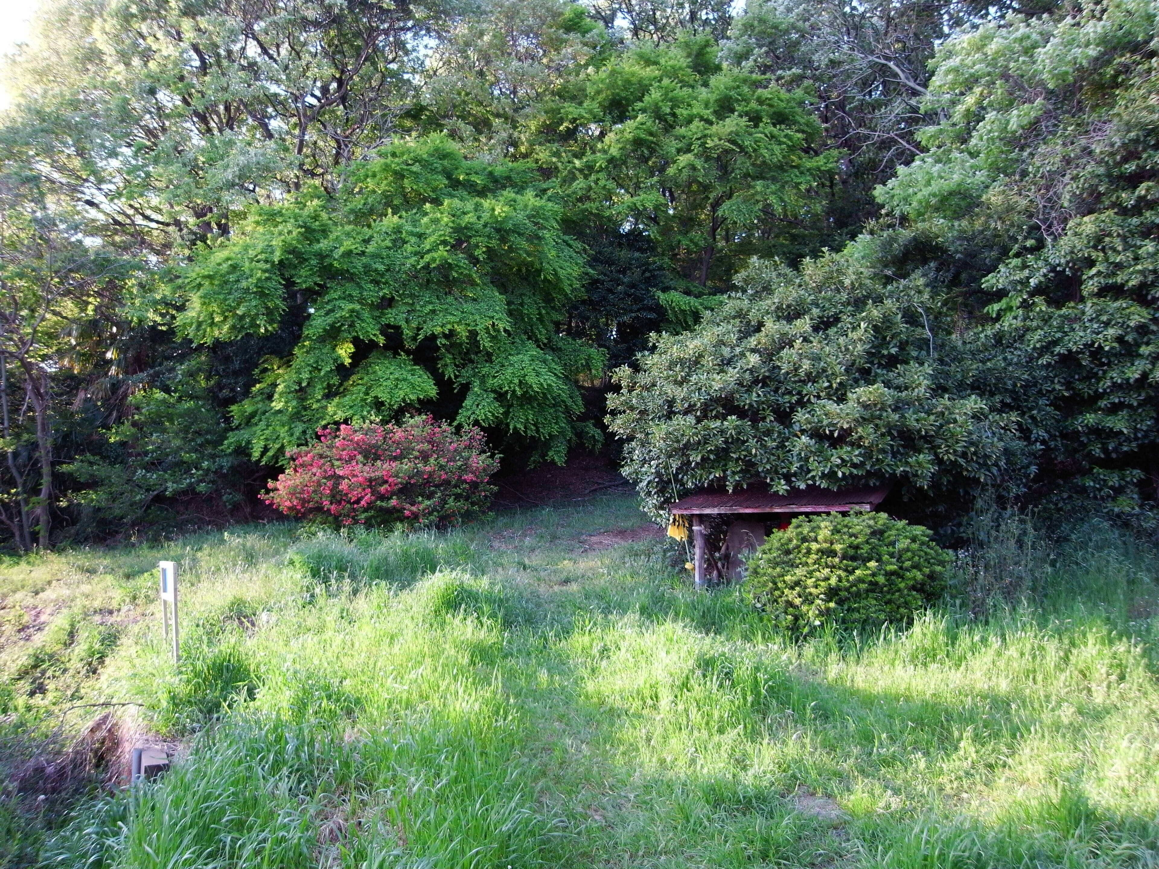 崖を登る古い道