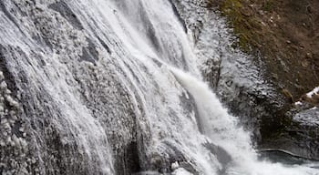 Half frozen fall at Fukuroda Fall in Ibaraki where 2.5 hour distance by the car to the north.
Several times in a season, the fall would be frozen fully that able to climb. #snow