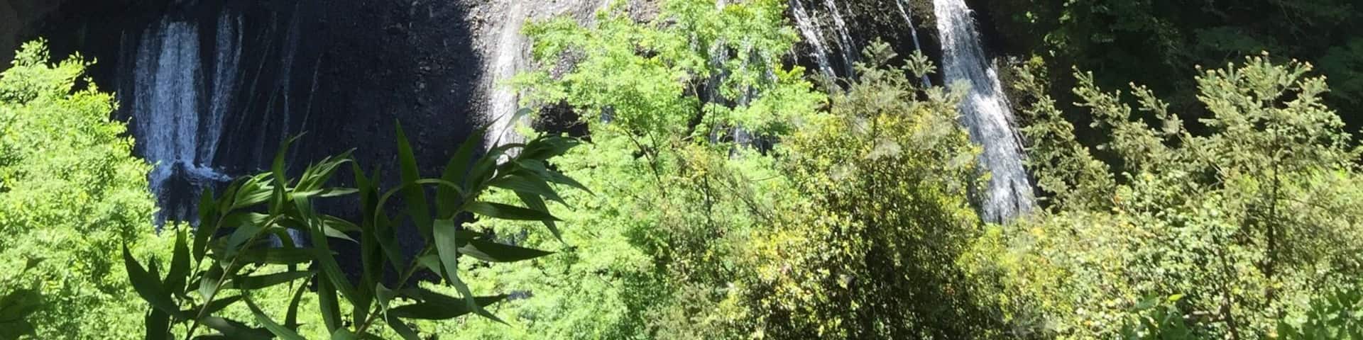 Fukuroda fall in Spring