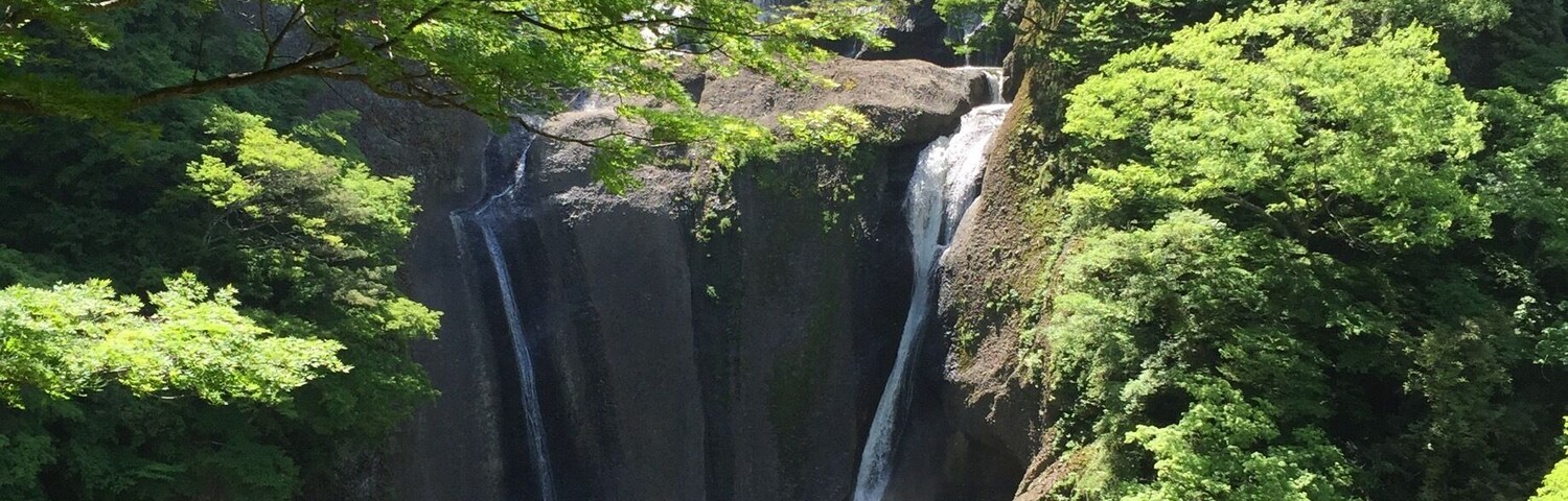 Fukuroda fall in Spring