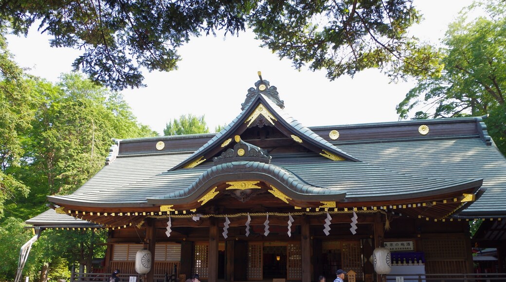 大國魂神社の拝殿 東京都府中市 2013.5.17