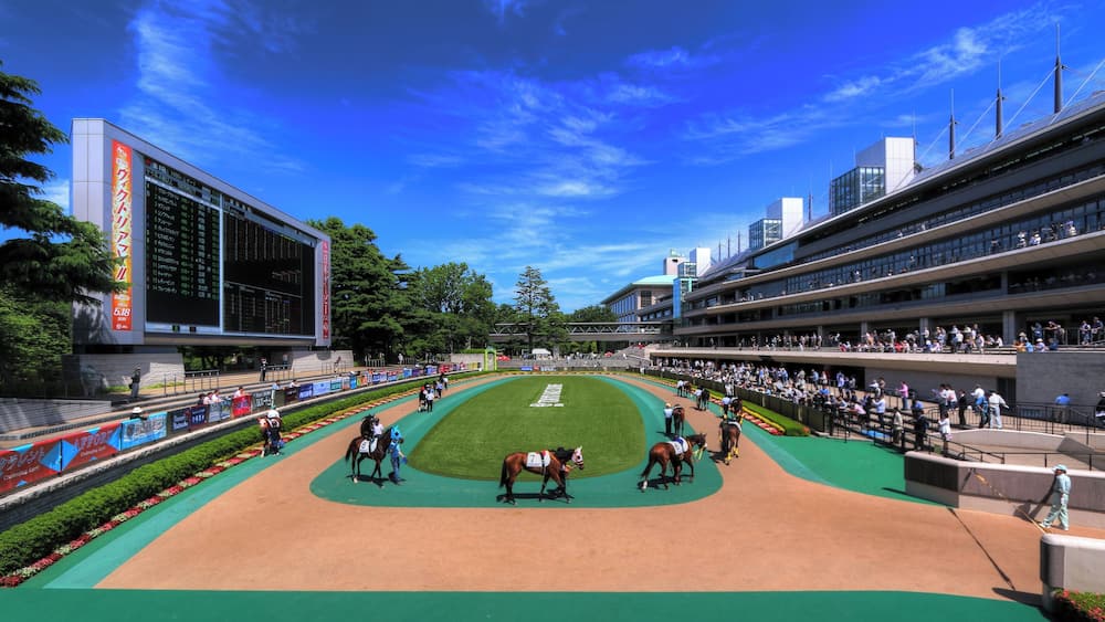 æ±äșŹç«¶éŠŹć Ž