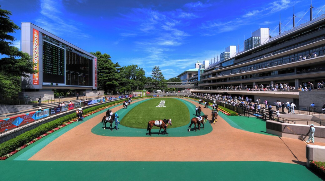 東京競馬場