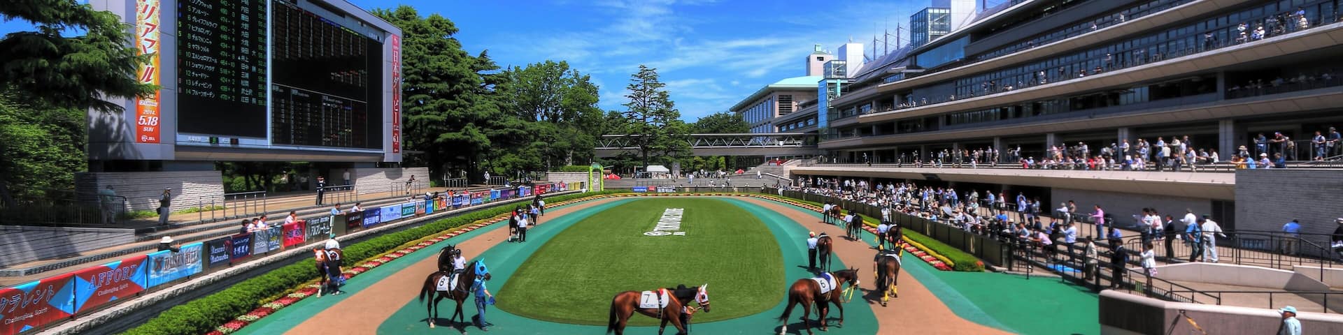 東京競馬場