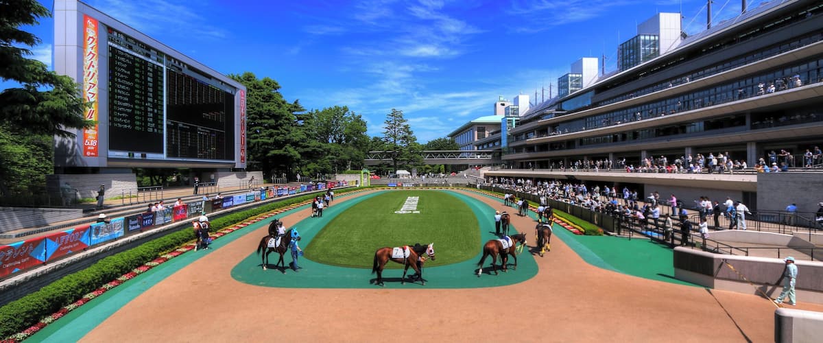 東京競馬場