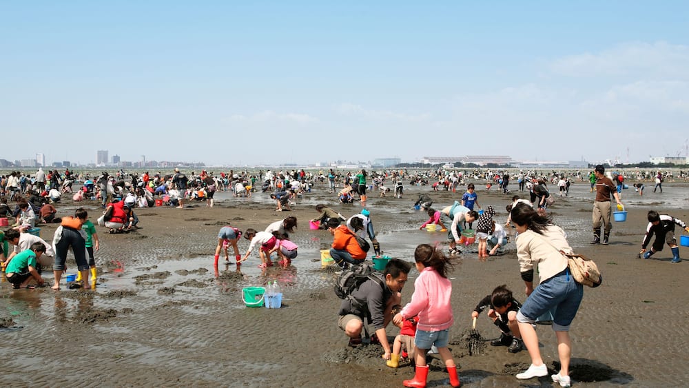 Beach Clam Fishing Sand Bucket Surf Fishing