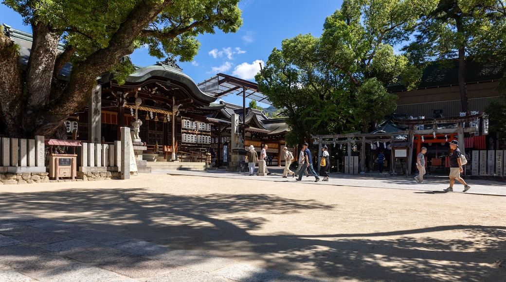 هيجاشي أوساكا