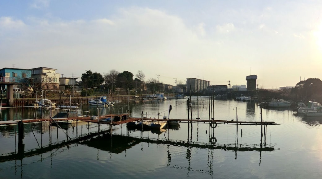 江戸川左岸、河原水門