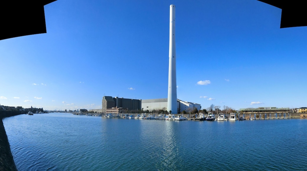 江戸川左岸より撮影