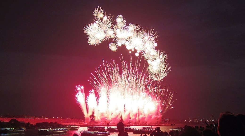 The firework festivals always start with a bang.
The Ichikawa Shimin Noryo Firework Festival (also known as Edogawa Firework Festival from the otherside of the river) is one of the most popular and largest firework festivals in the greater Tokyo area, launching 14 thousand fireworks for everyone to enjoy.
Every year they bringing in a crowd of approx. 490 thousand people on the Ichikawa side of the river (Chiba), and another 900 thousand people on the Edogawa ward side (Tokyo). So it's pretty crowded but completely worth it if you like festivals, fireworks, and/or have never seen either in Japan before!
But even if you miss this one (first Sat of August every year), in the summer there are firework festivals in various places around the greater Tokyo area (and other cities throughout Japan) every weekend, so just find one that fits your schedule and enjoy! :)
Closest station to the Ichikawa side of the river: Ichikawa Station on the JR Sobu line