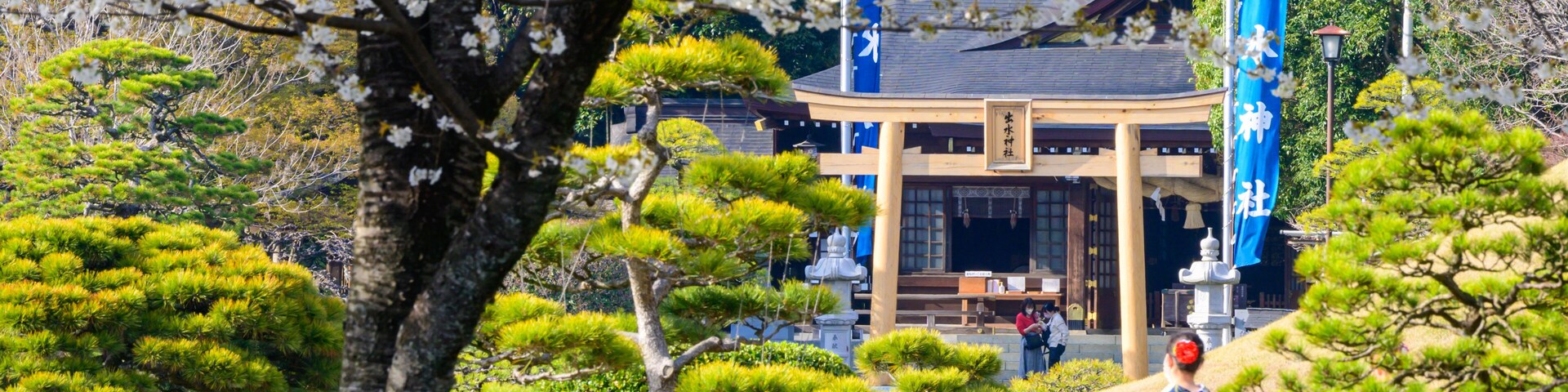 桜咲く神社鳥居風景(出水神社・水前寺成趣園)
Sakura blooming shrine torii scenery (Izumi Shrine, Suizenji Jojuen)
日本2022年(3月)撮影
Taken in Japan 2022 (March)
九州・熊本県(水前寺成趣園)
Kyushu / Kumamoto Prefecture (Suizenji Jojuen)