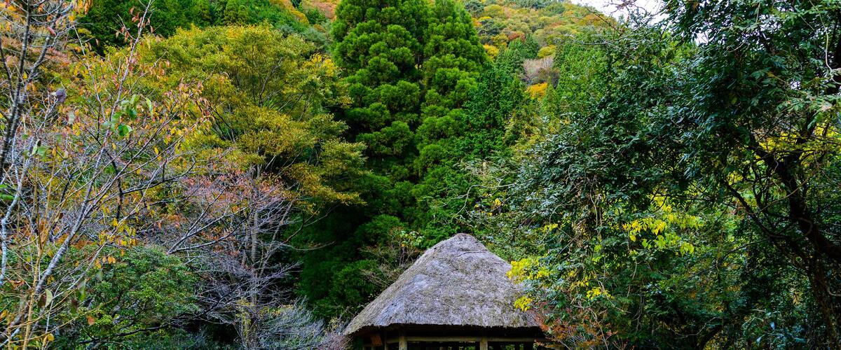 A thatched-roof gazebo surrounded by autumn foliage and a winding path.