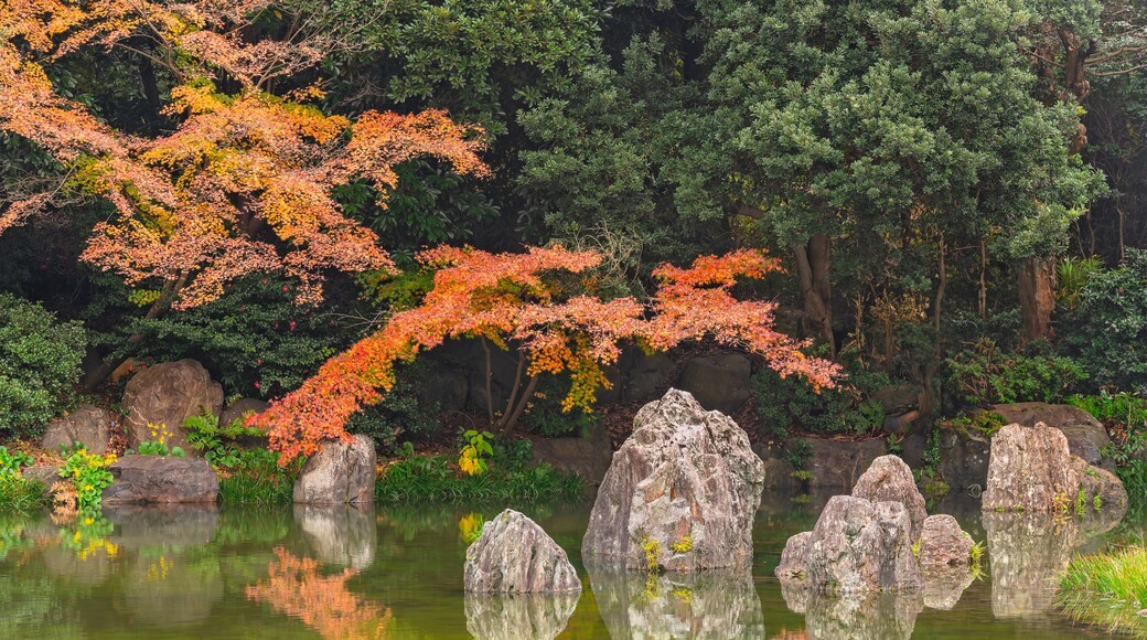 japan, osaka - dec 4 2022: Landscape of autumn red momiji maple trees reflecting in the pond Miyama no Izumi meaning Spring Flowing from Mountains in the Japanese garden of Expo ’70 Commemorative Park