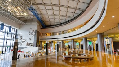 Kawasaki featuring interior views